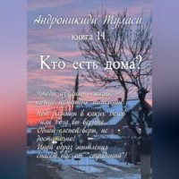 Туласи Андроникиди. Книга 14. Кто есть дома?
