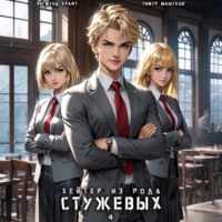 Тимур Машуков. Хейтер из рода Стужевых – 4