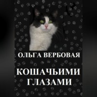 Ольга Леонидовна Вербовая. Кошачьими глазами