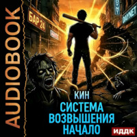 Кин. Система Возвышения. Книга 1. Начало