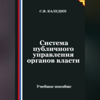 . Система публичного управления органов власти