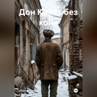 . Дон Кихот без коня