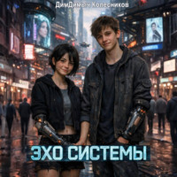 ДимДимыч Колесников. Эхо системы