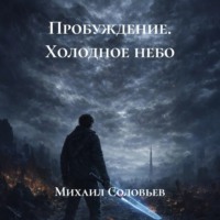 Михаил Соловьев. Пробуждение. Холодное небо