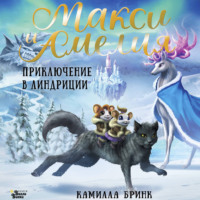 Камилла Бринк. Макси и Амелия. Приключение в Линдриции