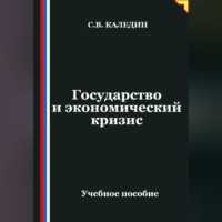 Сергей Каледин. Государство и экономический кризис