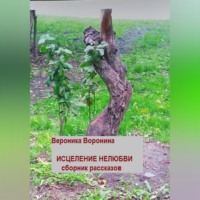 Вероника Воронина. Исцеление нелюбви. Сборник рассказов