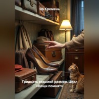 . Тридцать седьмой размер.            Цикл «Вещи помнят»