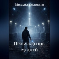 Михаил Соловьев. Пробуждение. 29 дней