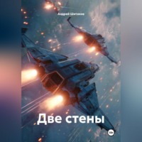 Андрей Шитиков. Две стены