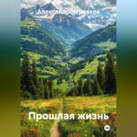 Александр Черевков. Прошлая жизнь