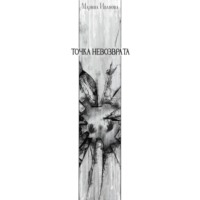 Марина Иванова. Точка невозврата