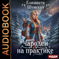 Елизавета Шумская. Записки маленькой ведьмы. Книга 4. Чародеи на практике
