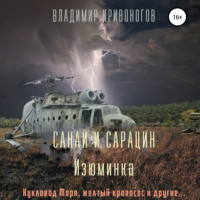 Владимир Кривоногов. Санай и Сарацин. Изюминка
