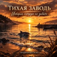 Павел Новак. Тихая заводь