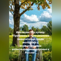 Никита Ермаков. Инклюзия без купюр: «Проблемы и пути решения эмансипации среди молодёжи с ограниченными возможностями здоровья в России».