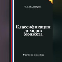 Сергей Каледин. Классификация доходов бюджета