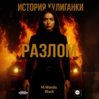 M. Wanda Black. История Хулиганки: Разлом