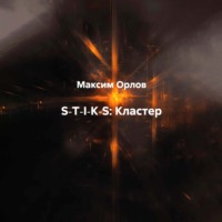 Максим Вячеславович Орлов. S‑T‑I‑K‑S: Кластер