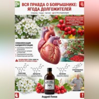 . Вся правда о боярышнике: ягода долгожителей
