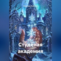 Владимир Юрьевич Малянкин. Студёная академия