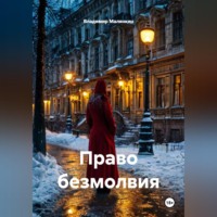 Владимир Юрьевич Малянкин. Право безмолвия