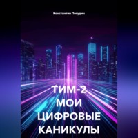 . ТИМ-2 МОИ ЦИФРОВЫЕ КАНИКУЛЫ
