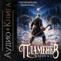 . Пламенев. Книга III