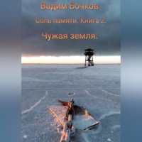 Вадим Бочков. Соль памяти. Книга 2. Чужая земля.