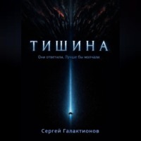 Сергей Галактионов. Тишина