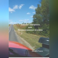 Дмитрий Анатольевич Рожков. Заметки пожарного, или непридуманные истории
