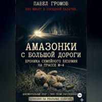 Павел Громов. «Амазонки» с большой дороги: Хроника семейного безумия на трассе М-4