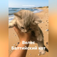 Анатолий Шигапов. Велес Балтийский кот