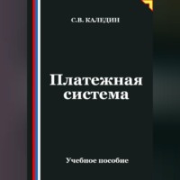 Сергей Каледин. Платежная система