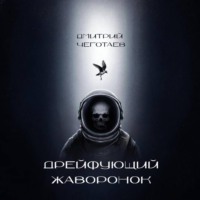 Дмитрий Чеготаев. Дрейфующий Жаворонок