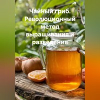 Война Владимир. Чайный Гриб. Революционный метод выращивания и разведения