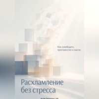 Артем Демиденко. Расхламление без стресса: Как освободить пространство и мысли