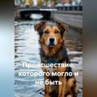 Ярослав Кичало. Происшествие, которого могло и не быть