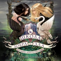 Соман Чайнани. Школа Добра и Зла. Последнее «долго и счастливо»