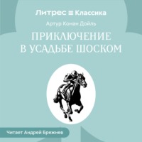 . Приключение в усадьбе Шоском