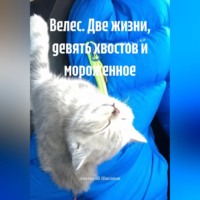 Анатолий Шигапов. Велес. Две жизни, девять хвостов и мороженное