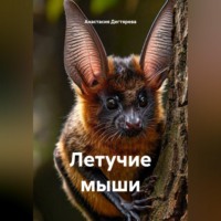 . Летучие мыши