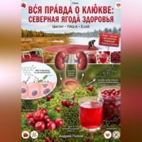 . Вся правда о клюкве: северная ягода здоровья