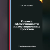 Сергей Каледин. Оценка эффективности инвестиционных проектов