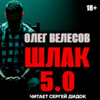 Олег Велесов. ШЛАК. Книга пятая