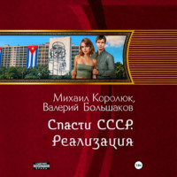 Валерий Большаков. Спасти СССР. Реализация