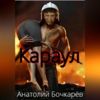 Анатолий Бочкарёв. Караул