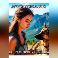 . По ту сторону осколка
