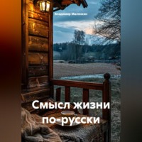 Владимир Юрьевич Малянкин. Смысл жизни по-русски