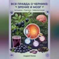 Андрей Попов. Вся правда о чернике: зрение и мозг